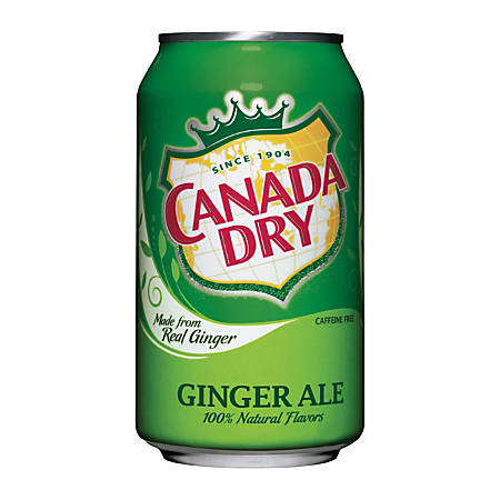 Canada Dry Ginger Ale 330ml